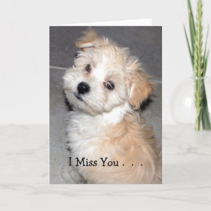 Tarjeta I Srta. You. - Perrito de Havanese