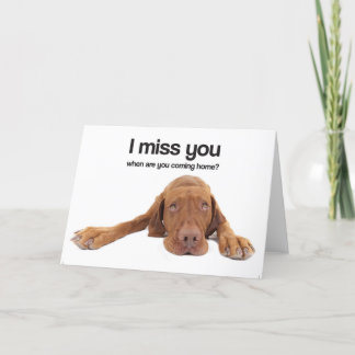 Tarjeta I Srta. You (Vizsla)