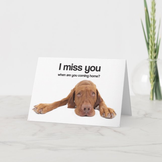 Tarjeta I Srta. You (Vizsla) (Anverso)