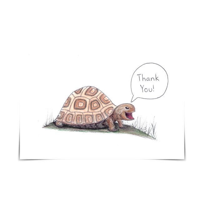 Tarjeta "I Turtley Appreciate It" Turtle Thank You Card (Subido por el creador)