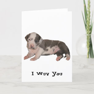 Tarjeta I Wuv usted