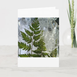 Tarjeta Iced Ferns,