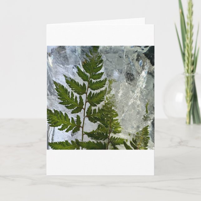 Tarjeta Iced Ferns, (Anverso)