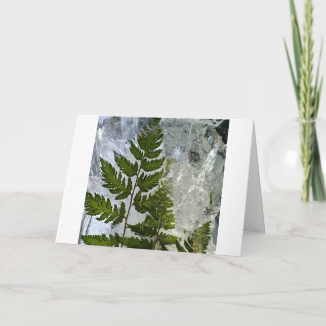 Tarjeta Iced Ferns, (Anverso)