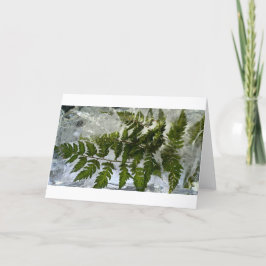 Tarjeta Iced Ferns,