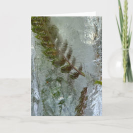 Tarjeta Iced Ferns,