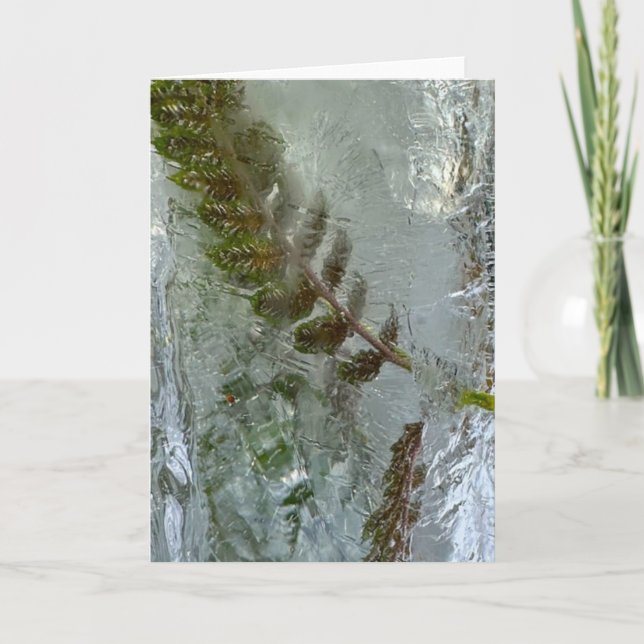 Tarjeta Iced Ferns, (Anverso)