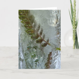 Tarjeta Iced Ferns,