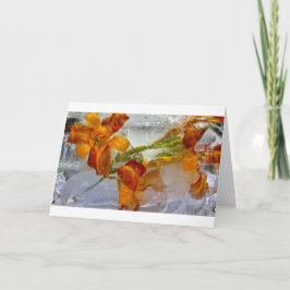Tarjeta Iced Lilies,