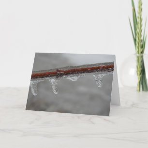 Tarjeta Icy Branch