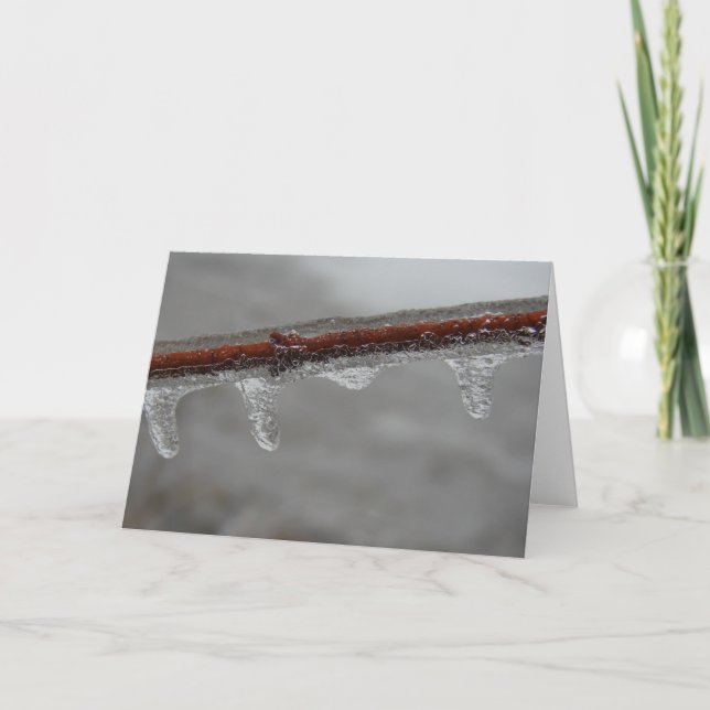 Tarjeta Icy Branch (Anverso)