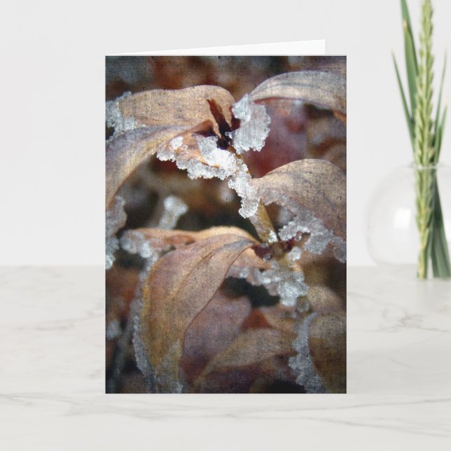 Tarjeta Icy Leaves (Anverso)