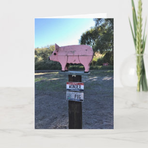 Tarjeta Idaho Wonder Pig, Gracioso