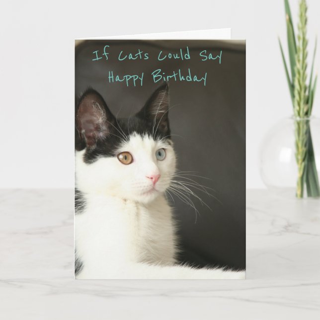 Tarjeta If Cats Could Say Happy Birthday (Anverso)
