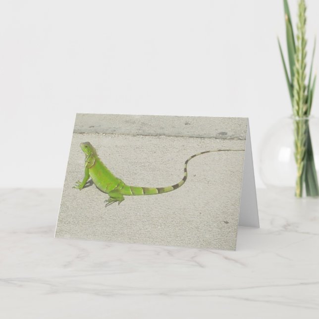 Tarjeta Iguana salvaje (Anverso)