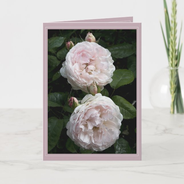 Tarjeta II de Redoute (Anverso)