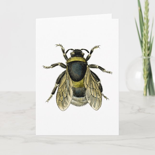 Tarjeta Ilustracion antiguo retro abeja negro y amarillo (Anverso)