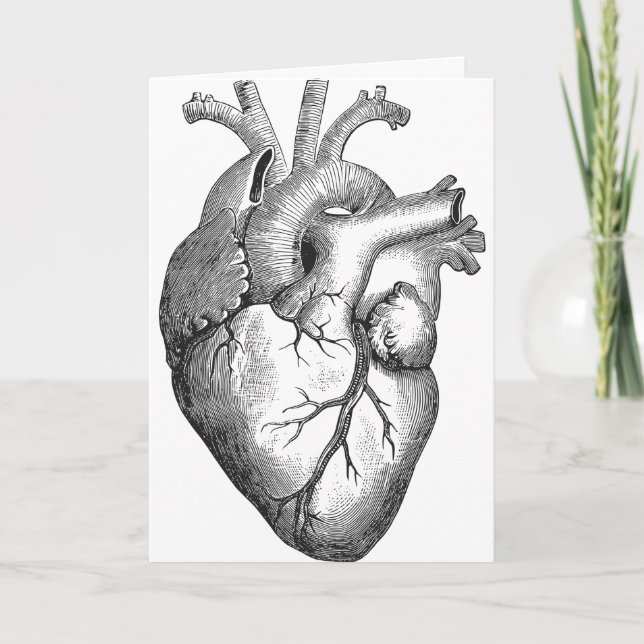 Tarjeta Ilustracion cardíaco simple de anatomía blanca neg (Anverso)