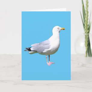 Tarjeta Ilustración de ave gaviota costera, playa y natura