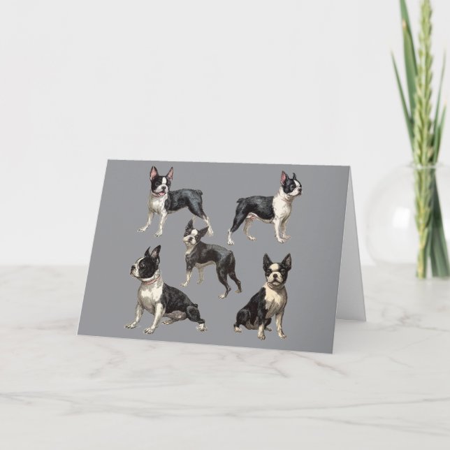 Tarjeta Ilustración de Boston Terrier (Anverso)