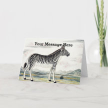 Ilustracion de dibujo animal de Zebra Africa Strip