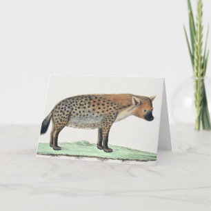 Tarjeta Ilustracion de Hena Spots   Animal de África
