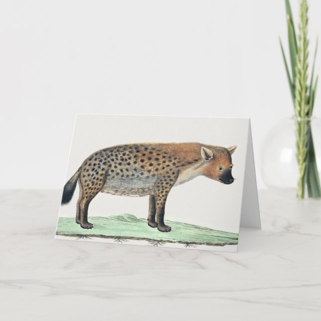 Tarjeta Ilustracion de Hena Spots | Animal de África (Anverso)