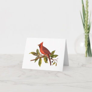 Tarjeta Ilustracion de pájaro de la canción del cardenal v