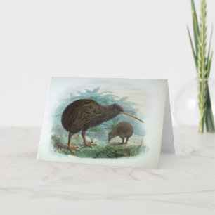 Tarjeta Ilustracion de pájaro marrón kiwi de la Isla del N