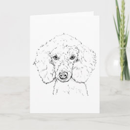 Tarjeta Ilustración de perro caniche lindo, dibujado a man