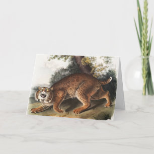 Tarjeta Ilustracion del gato salvaje estadounidense (Lynx 