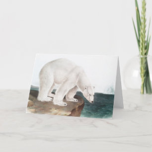 Tarjeta Ilustracion del oso polar (Ursus maritimus)