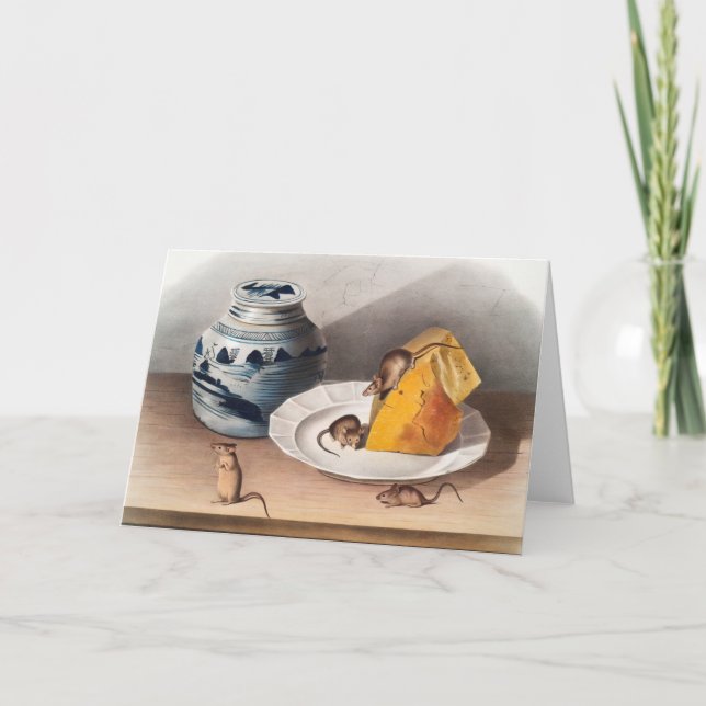 Tarjeta Ilustracion del ratón (Mus-musculus) (Anverso)