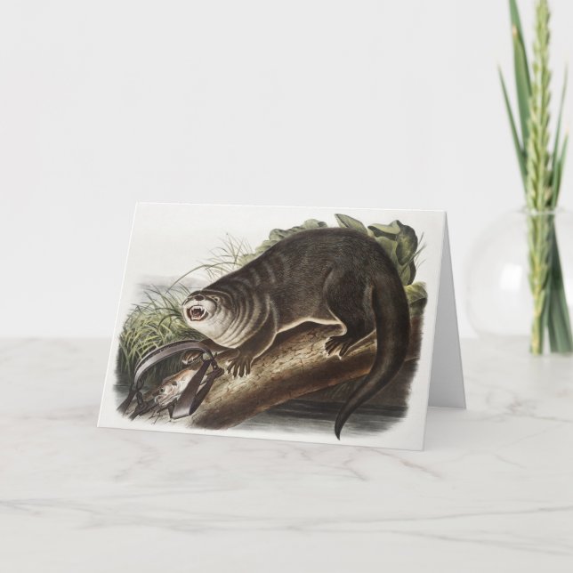 Tarjeta Ilustracion Otter (Lutra Canadensis) de Canadá (Anverso)