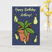 Ilustración Personalizada de Planta Jarra Nepenthe