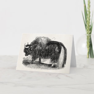 Tarjeta Ilustracion retro del animal de los yacs de los