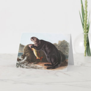 Tarjeta Ilustracion Sea Otter (Enhydra marina)