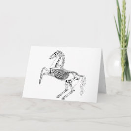 Tarjeta Ilustración victoriana del esqueleto de caballo