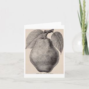 Tarjeta Ilustracion Vintage De Un Pegatina Pear 1893
