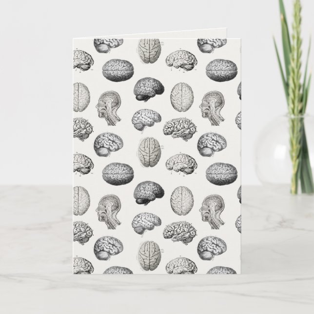 Tarjeta Ilustraciones de Anatomía Cerebral Biología (Anverso)