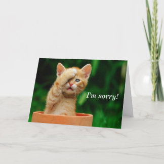 Tarjeta I'm Sorry!