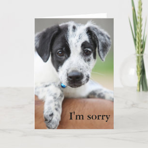 Tarjeta I'm Sorry