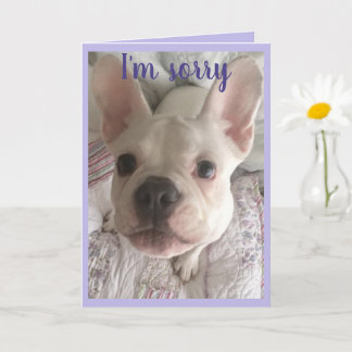 Tarjeta I'm Sorry HANGRY Card French Bulldog Puppy Pastel