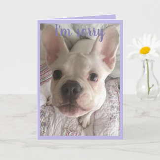 Tarjeta I'm Sorry HANGRY Card French Bulldog Puppy Pastel