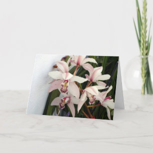 Tarjeta Imagen 003