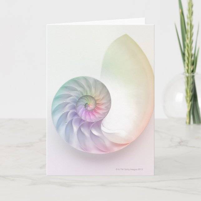Tarjeta Imagen coloreada artística del nautilus (Anverso)