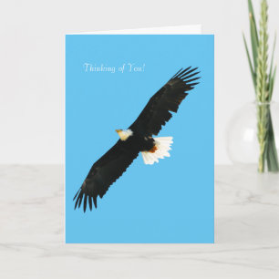 Tarjeta Imagen de Eagle calvo para la Saludo-tarjeta