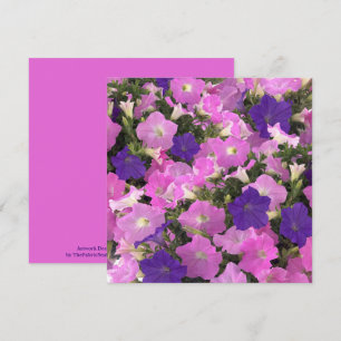 Tarjeta Imagen De Morning Glory Pink & Purple Flowers