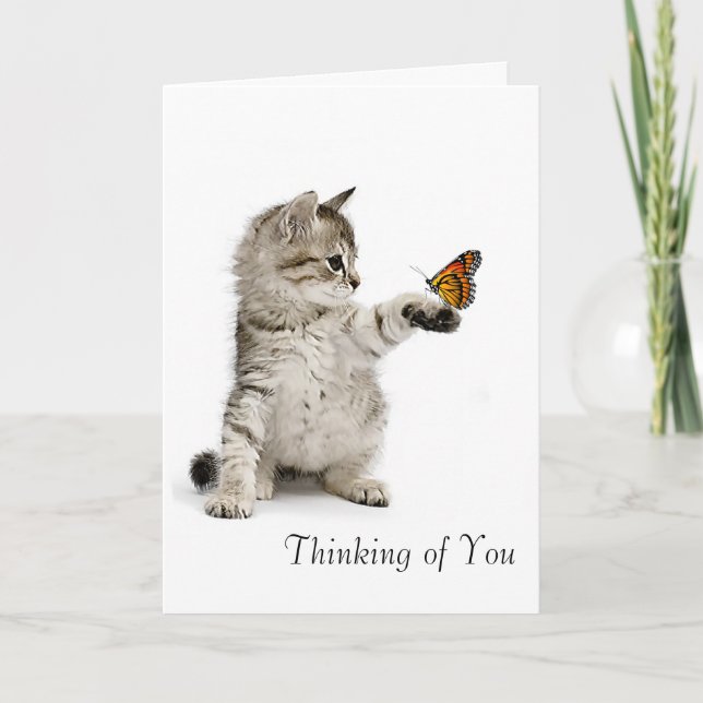 Tarjeta Imagen del gato para la conseguir-bien-tarjeta (Anverso)