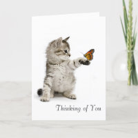 Imagen del gato para la conseguir-bien-tarjeta